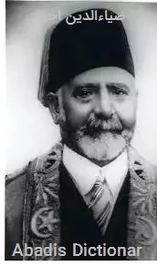 ضیاءالدین احمد